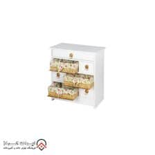 جاپیازی درسا