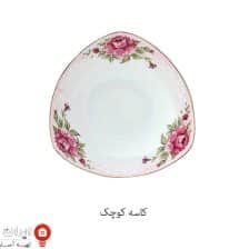 iranjahaz pardisalma2