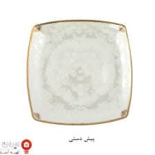 iranjahaz pardisberelian4