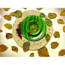 iranjahaz azinopal 160 2